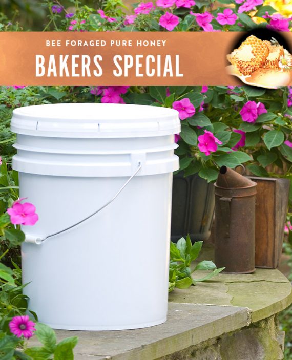 Bakers Special Honey Pail